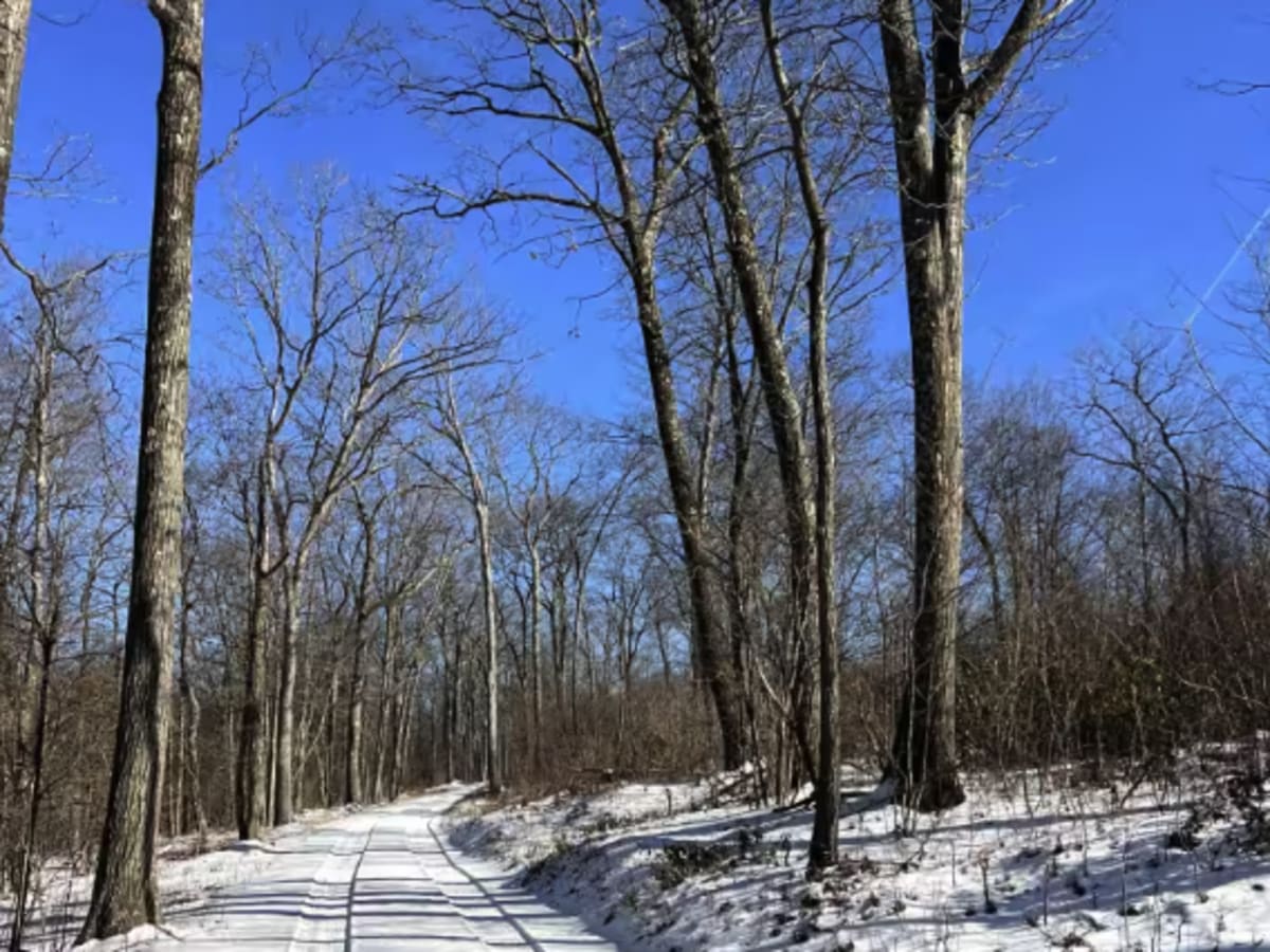 Beaver Meadow Trail photo 5