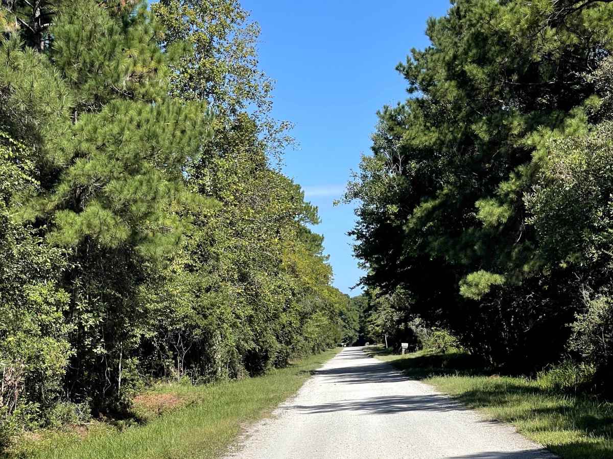 Redwood Road photo 4