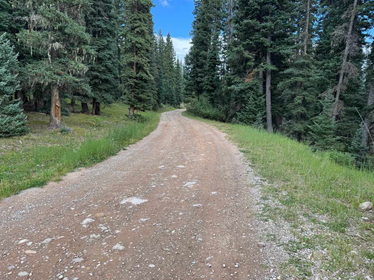 County Road 579 photo 5