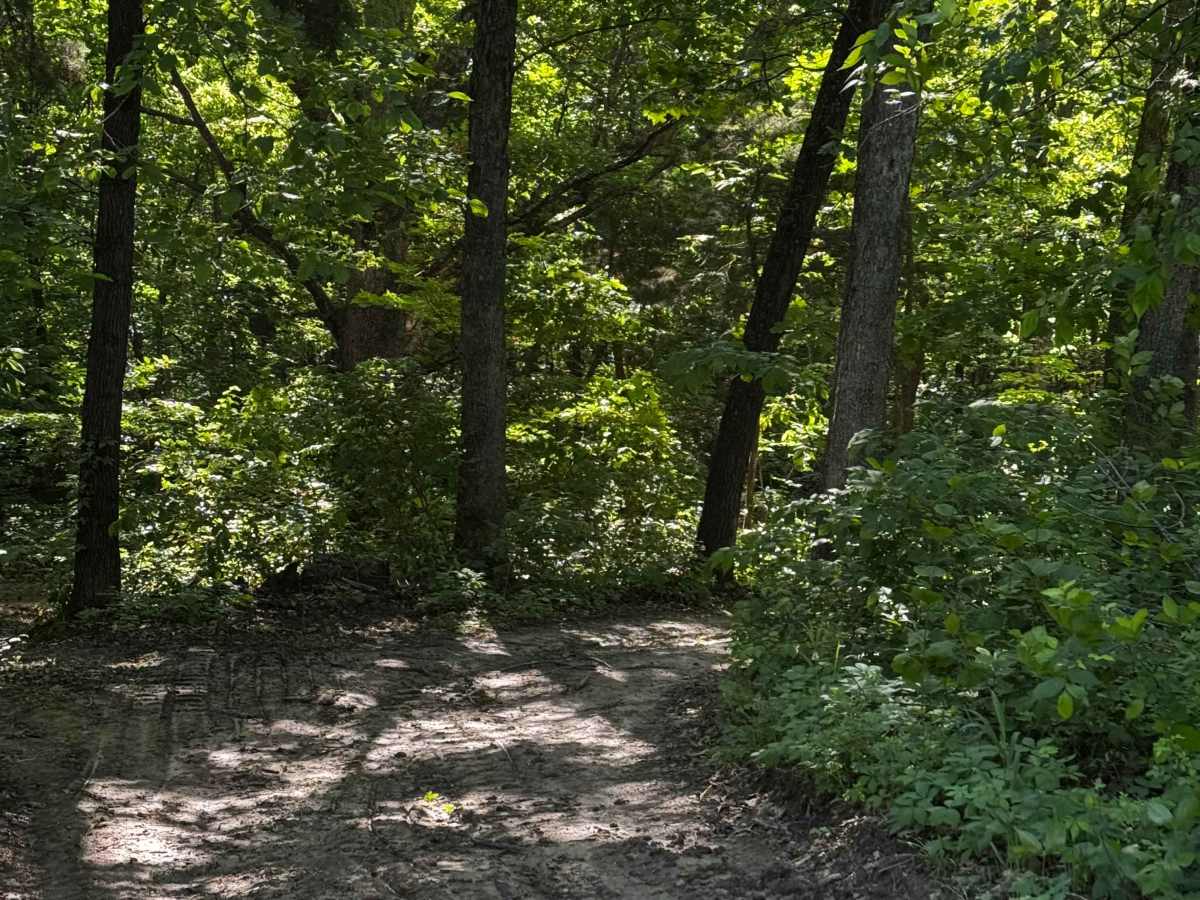 Inner Track 7 photo 4