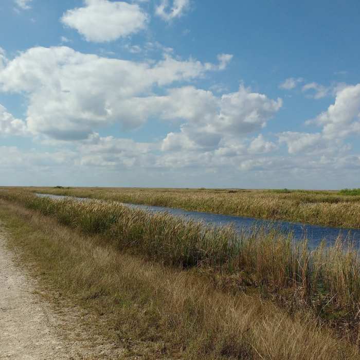 Near Everglades Conservation Levee Greenway