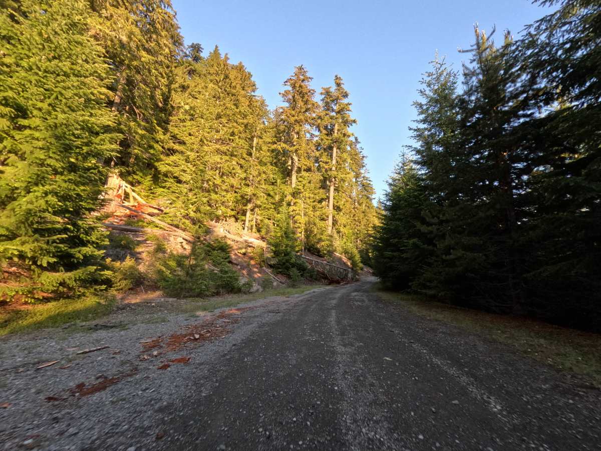 Frog Lake Butte - FS 2610-220 photo 3
