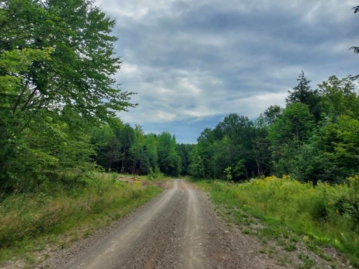 Hannington Road trail photo