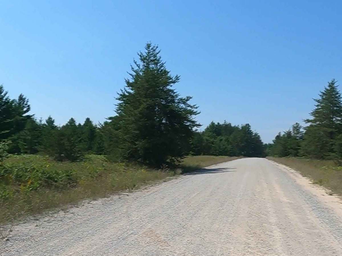 Cataract Road trail photo