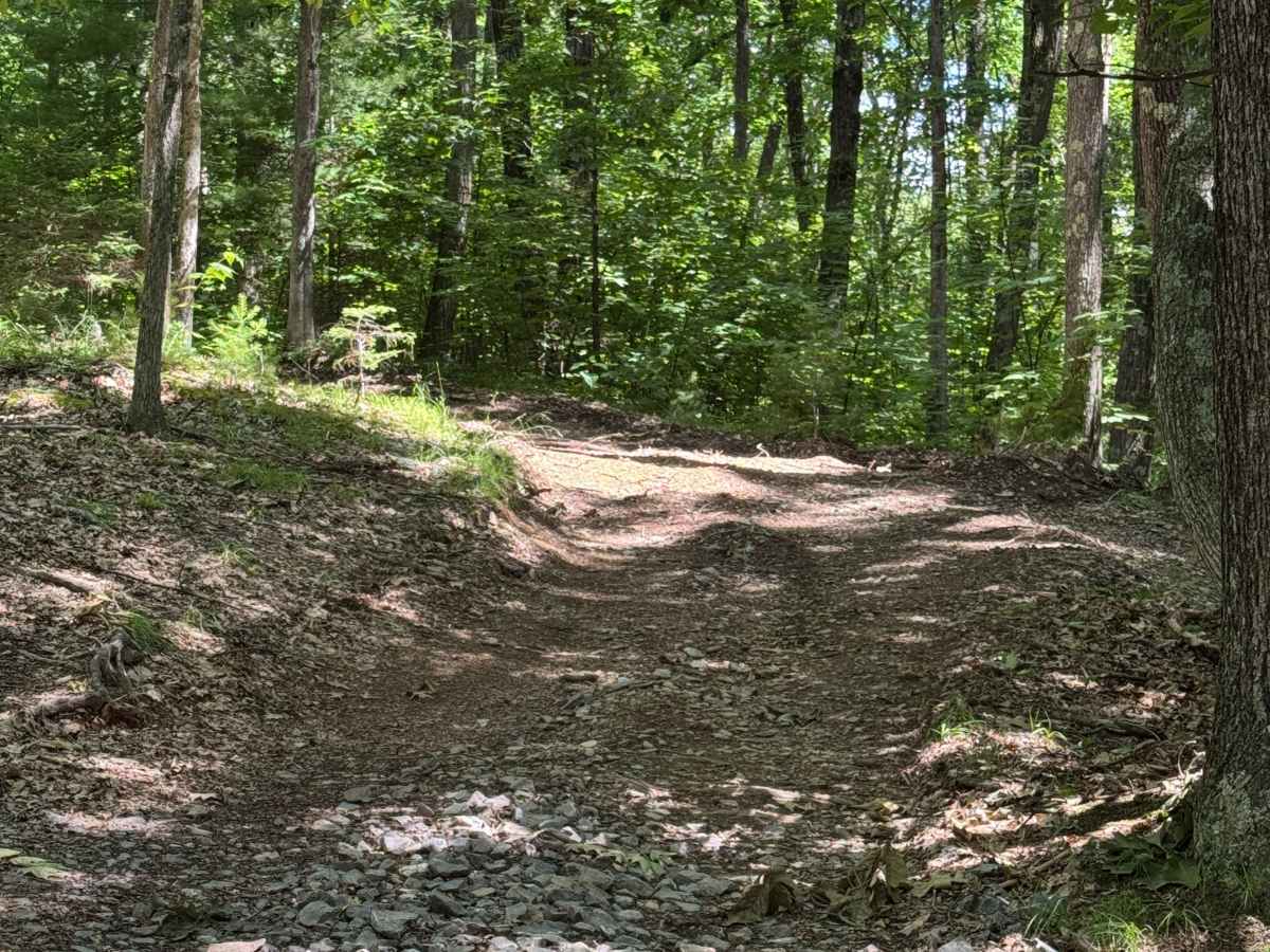 Bail-Out Trail photo 2