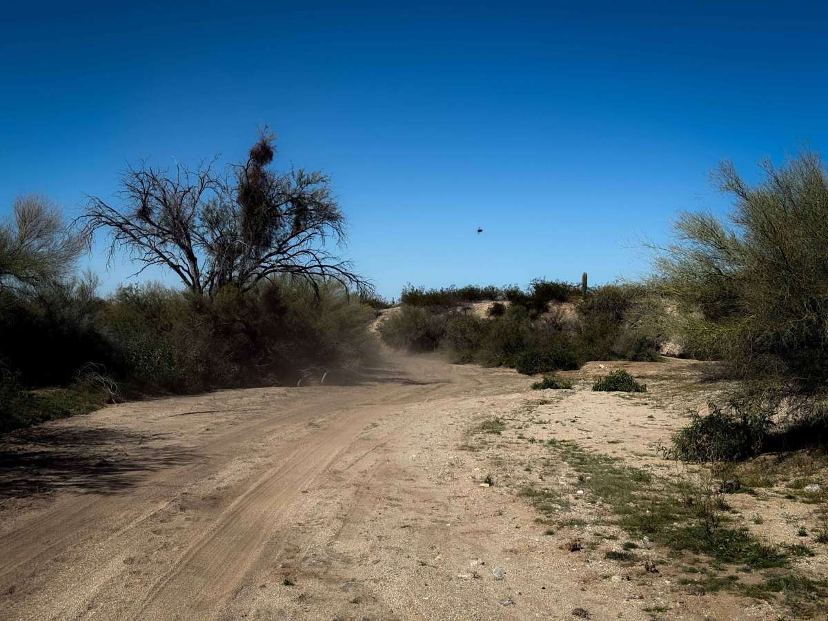 M0775 photo 4