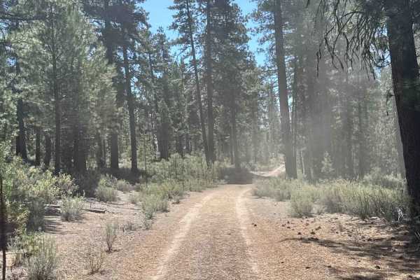 Dry Springs Trail - FS 4331000
