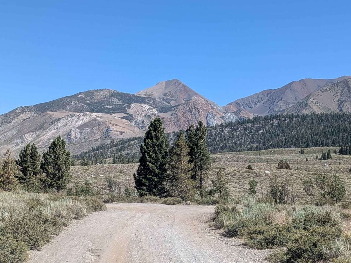 Mammoth Creek Road - FS 3S09 photo 3