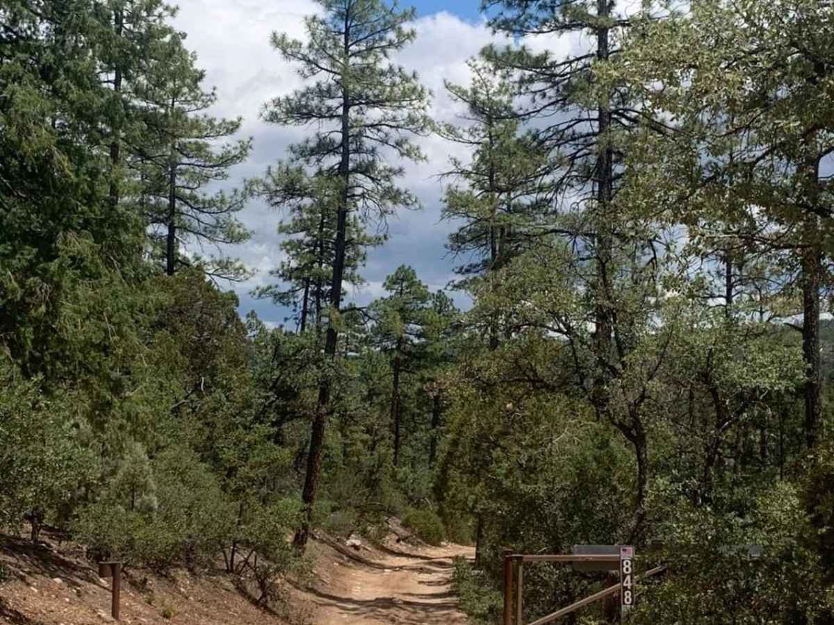 FDR 848 trail photo