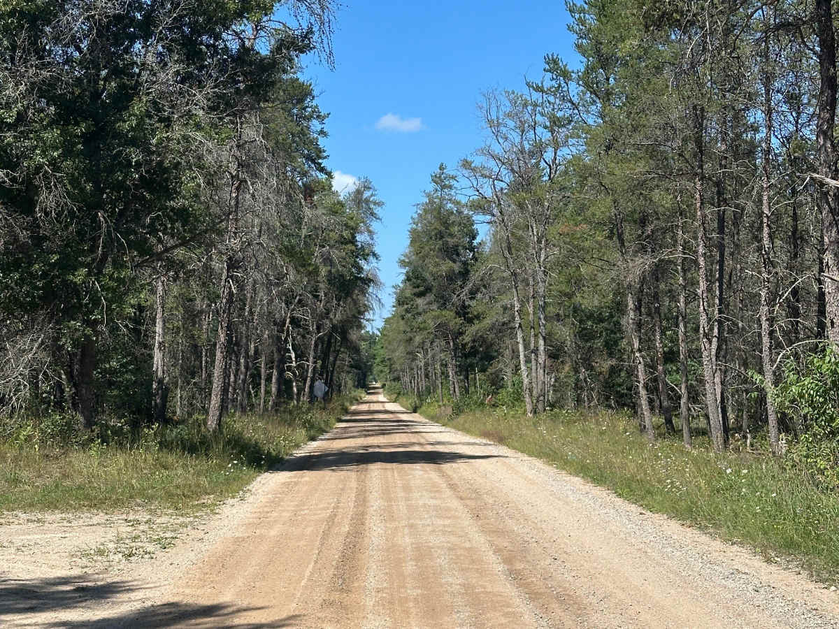 Hemlock Avenue photo 4
