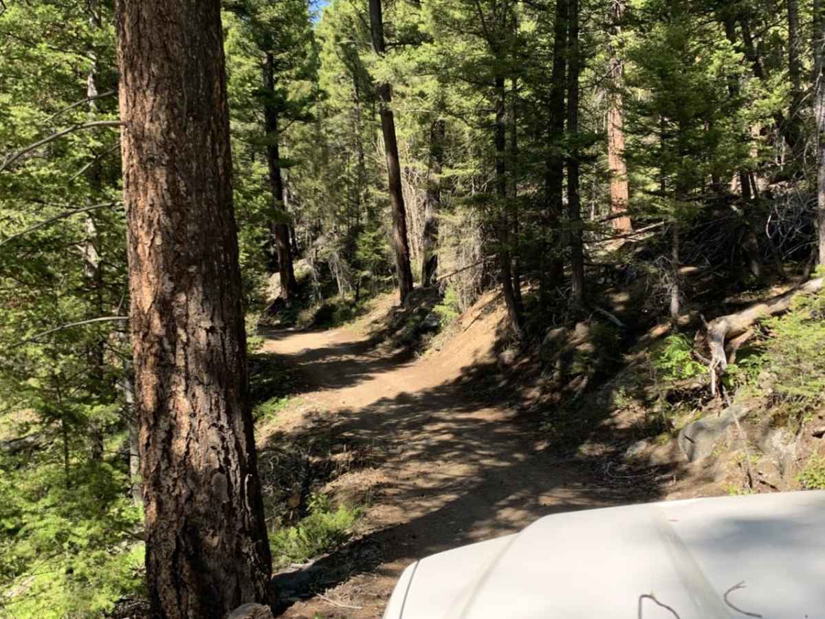 Champion Pass photo 4