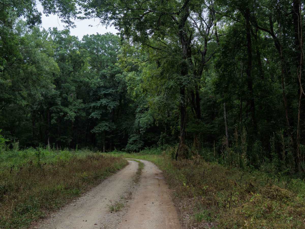 Greenwood Church Road photo 3