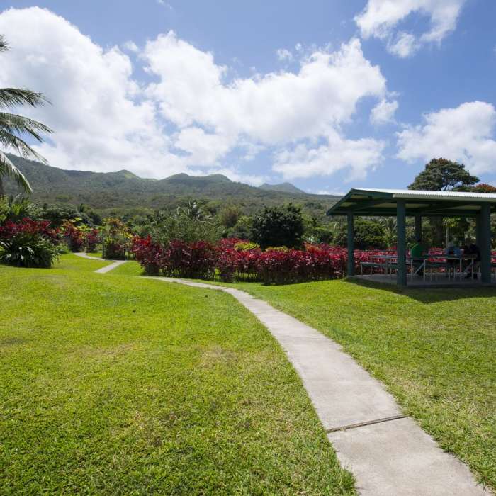 Near Ka'eleku Cave (Hana Lava Tube) Near Ka'eleku Cave (Hana Lava Tube)