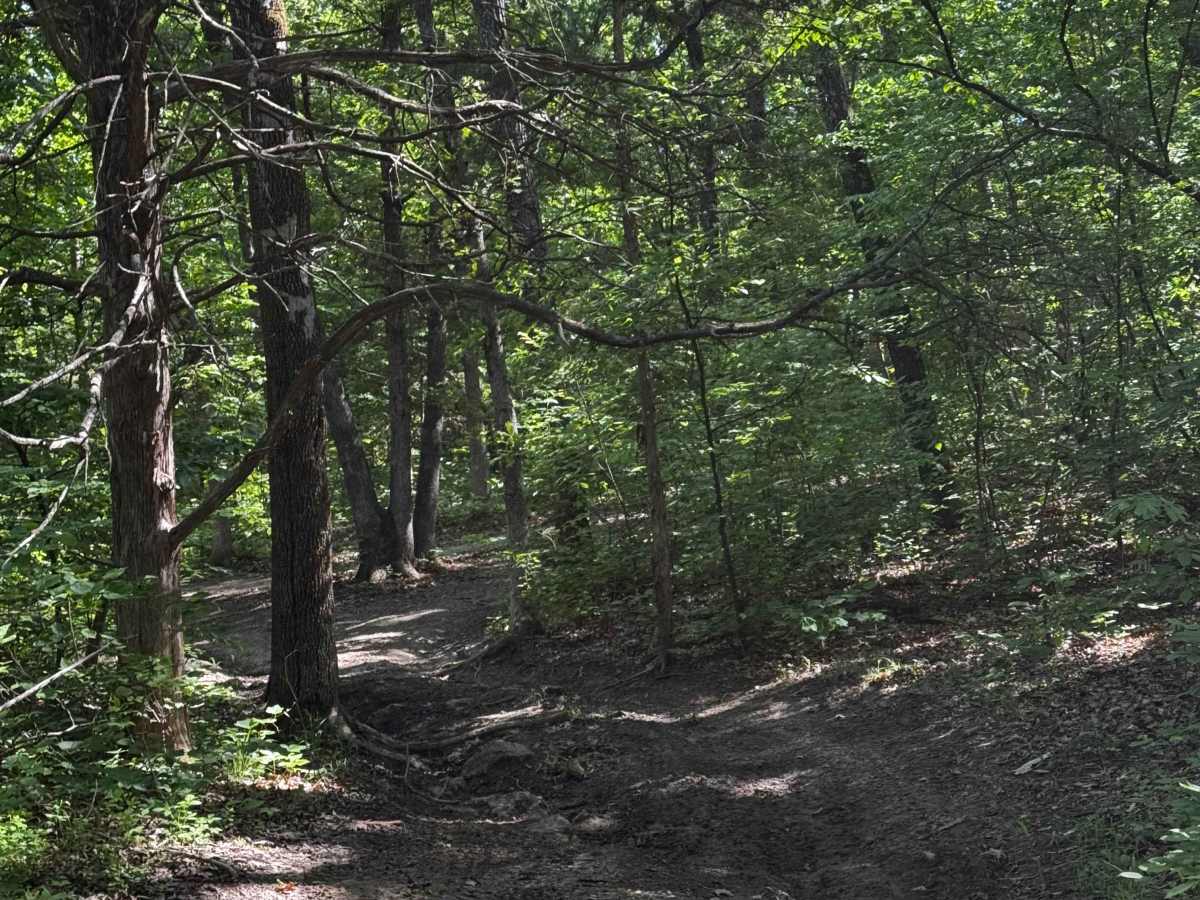 Inner Track 22 trail photo
