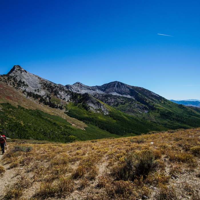 Near Ruby Crest National Recreation Trail Near Ruby Crest National Recreation Trail