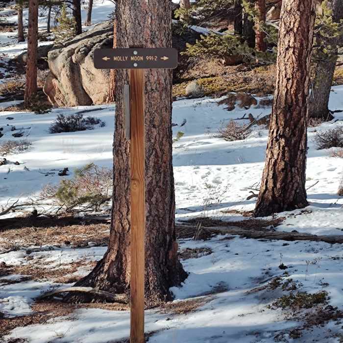 Near Elkhorn Trailhead Loop