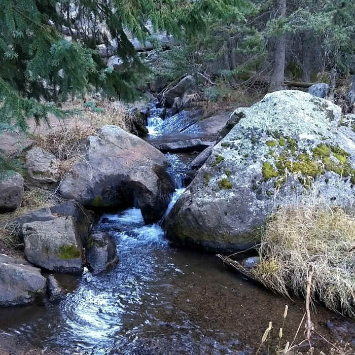 One of many small creeks found along the trail Near Thomas Trail