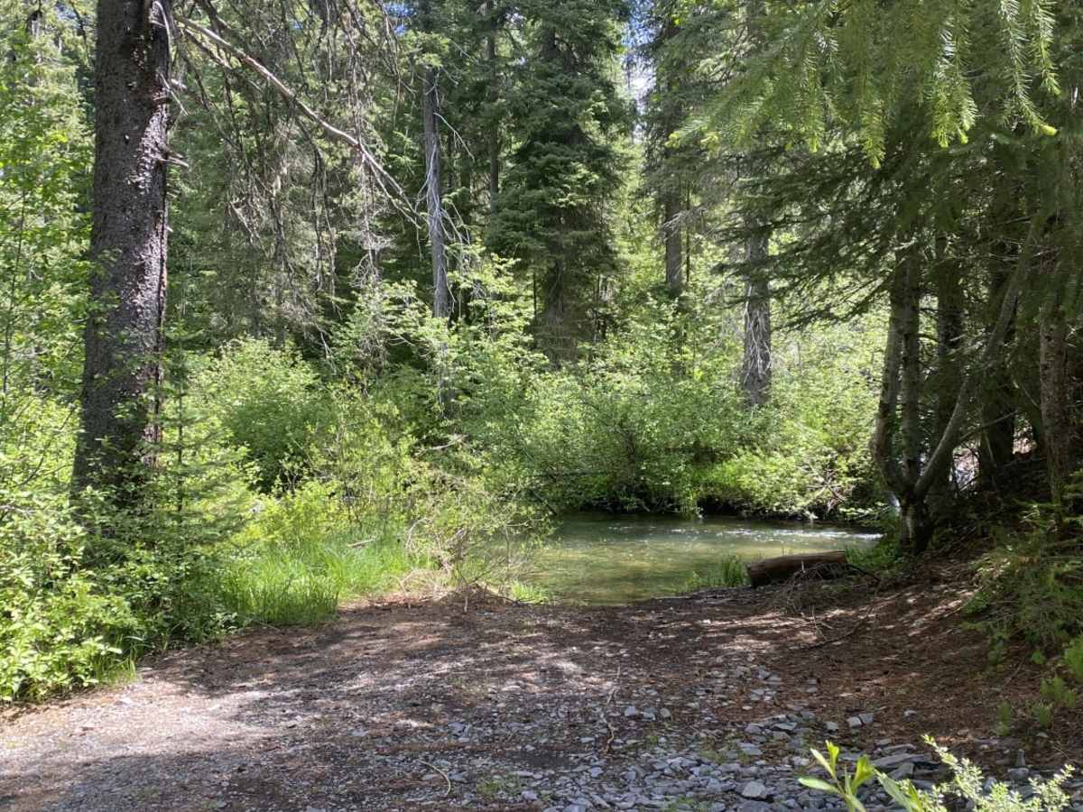 Sheep Creek photo 5