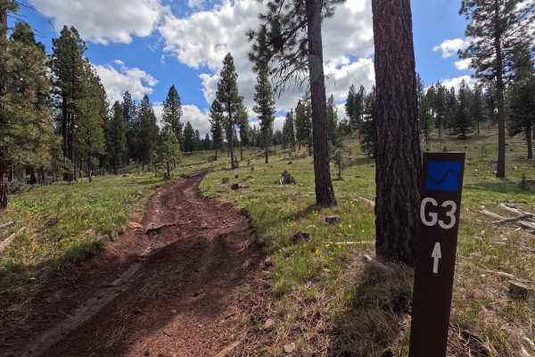Trail G3 Hillclimb