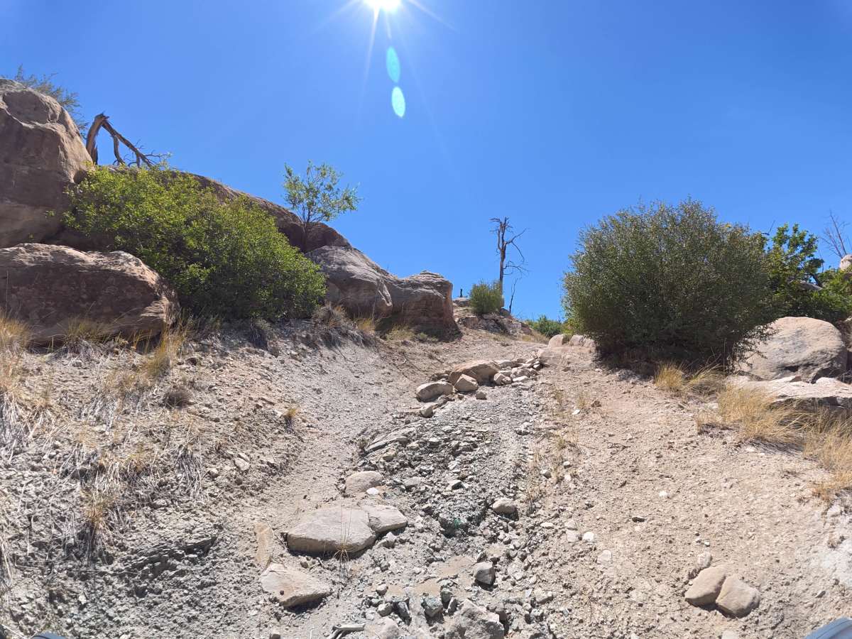 BLM 287 photo 4