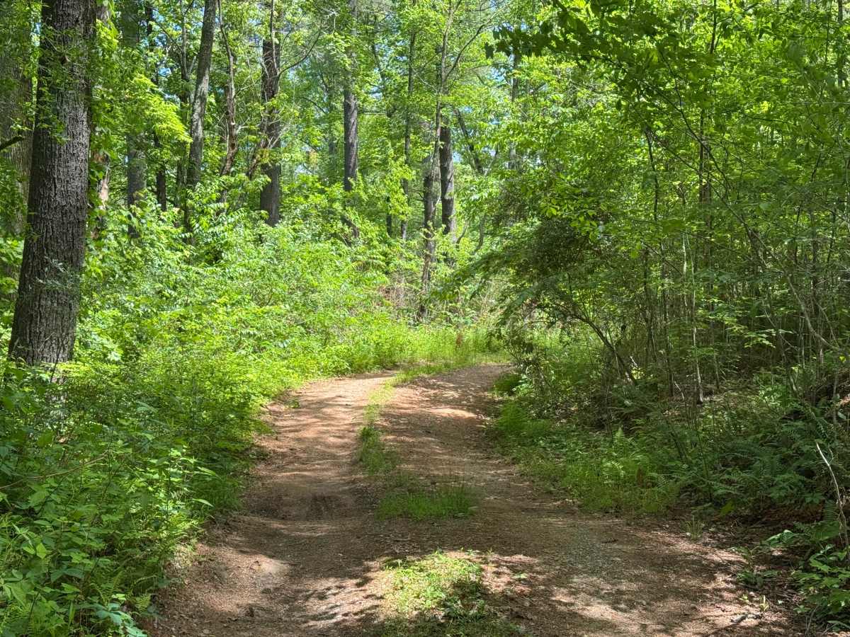 Rock Creek Branch B - FS 69B trail photo