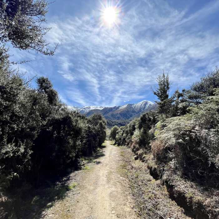 Near Lake Dispute Track Near Lake Dispute Track
