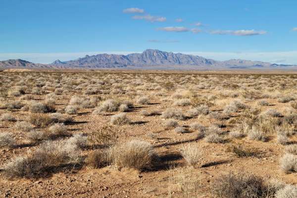 Mormon Mesa
