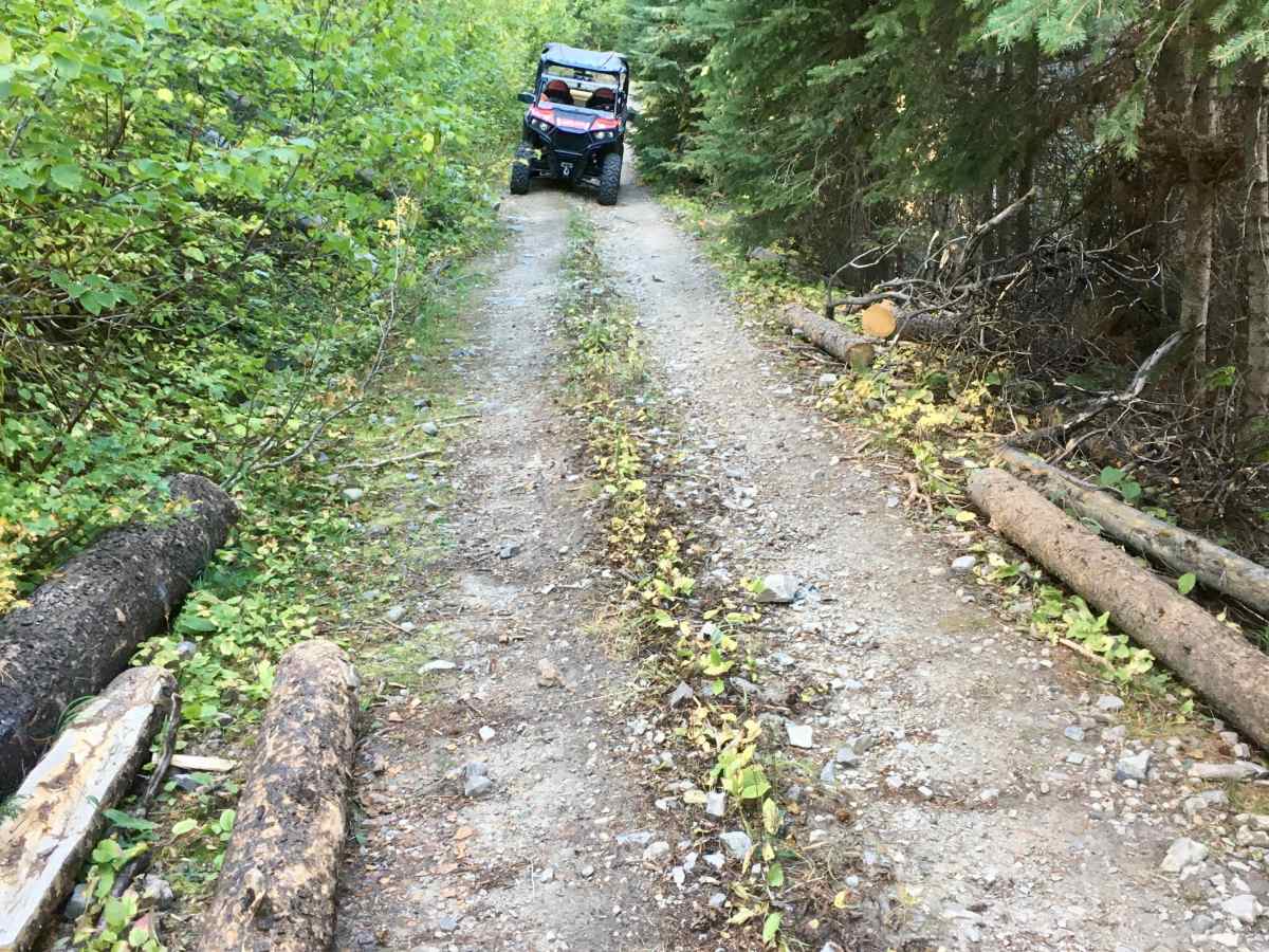 Reynolds - Lick ATV photo 6