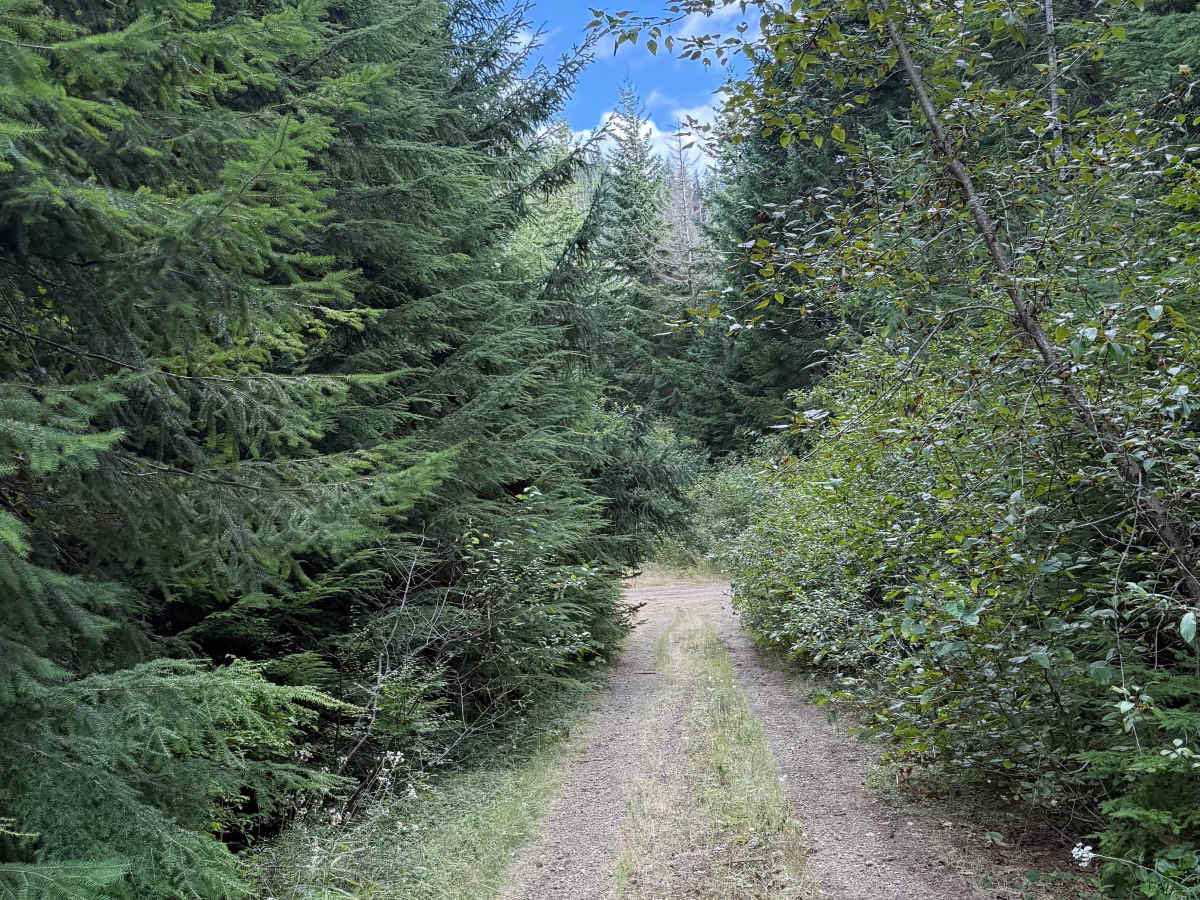 C 530 C photo 2