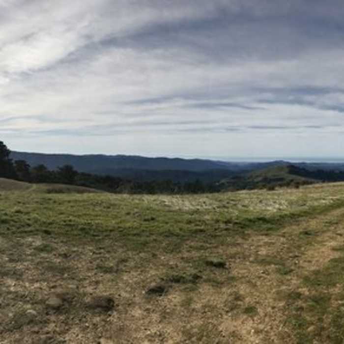Near Borel Hill Trail