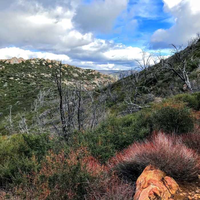 Hiking down towards Little Stonewall Peak Near Stonewall Peak Loop