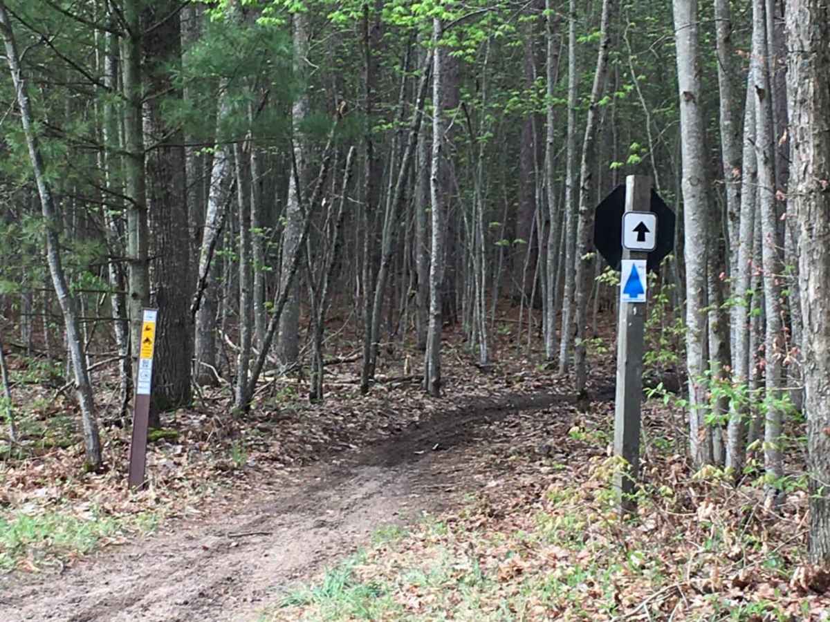 Atlanta Trail's - Center Loop photo 4