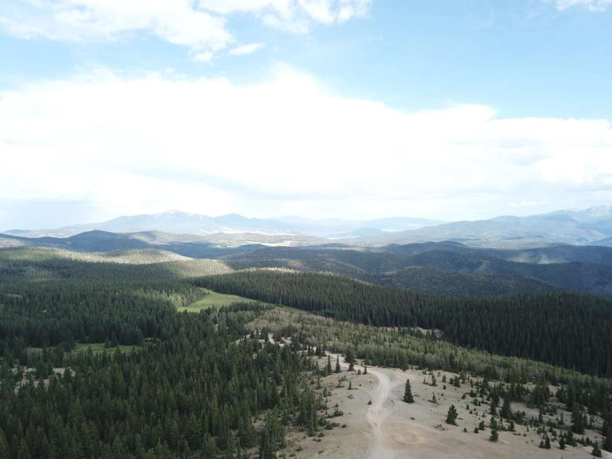 Sawmill Greenie trail photo