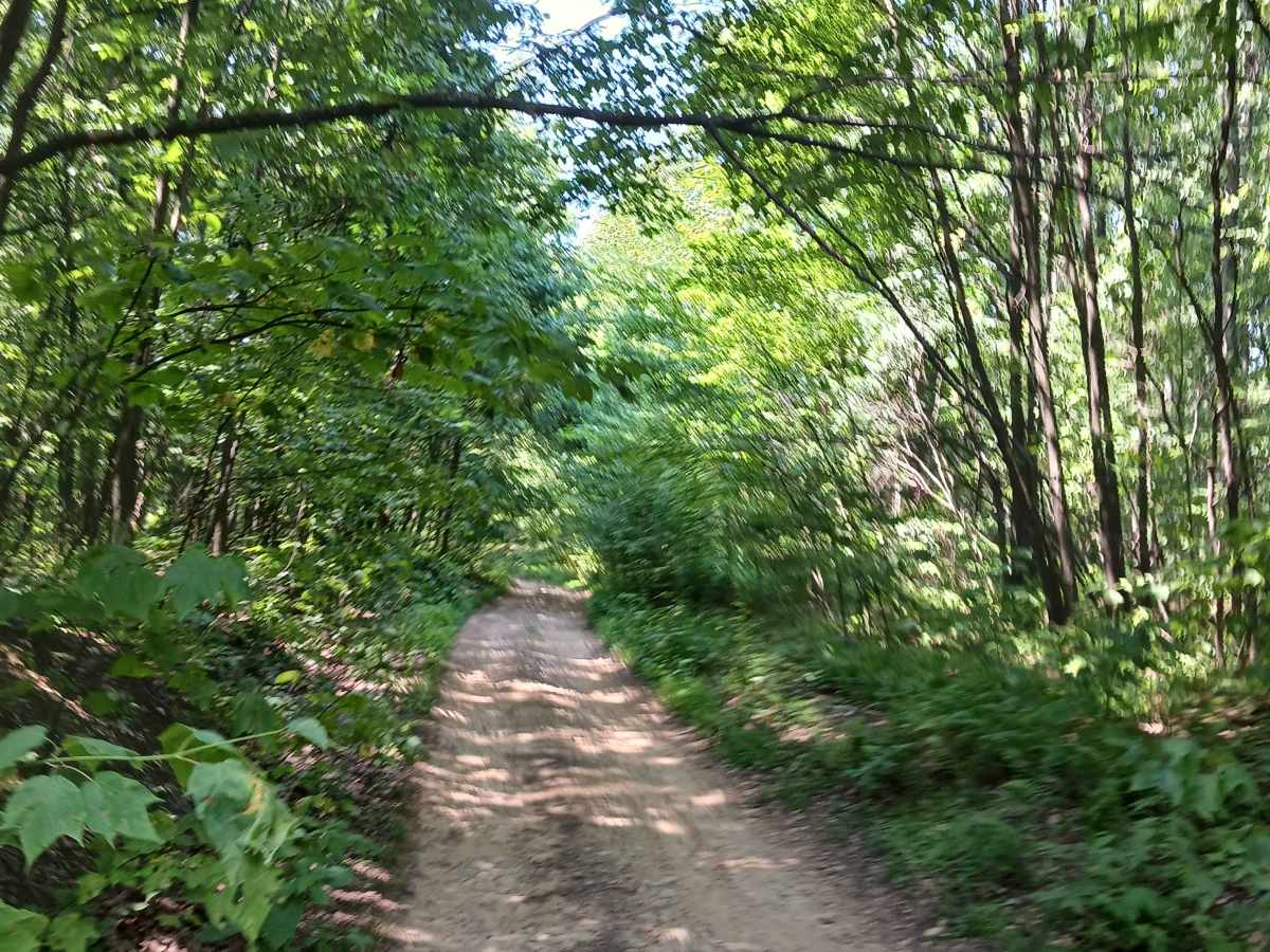 Kit Row - Rock Run Recreation Area photo 4