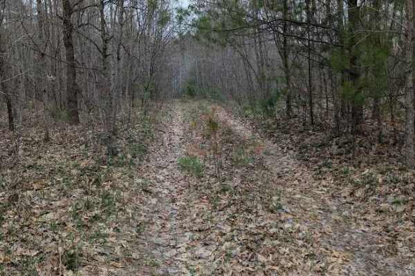 Harrison Loop