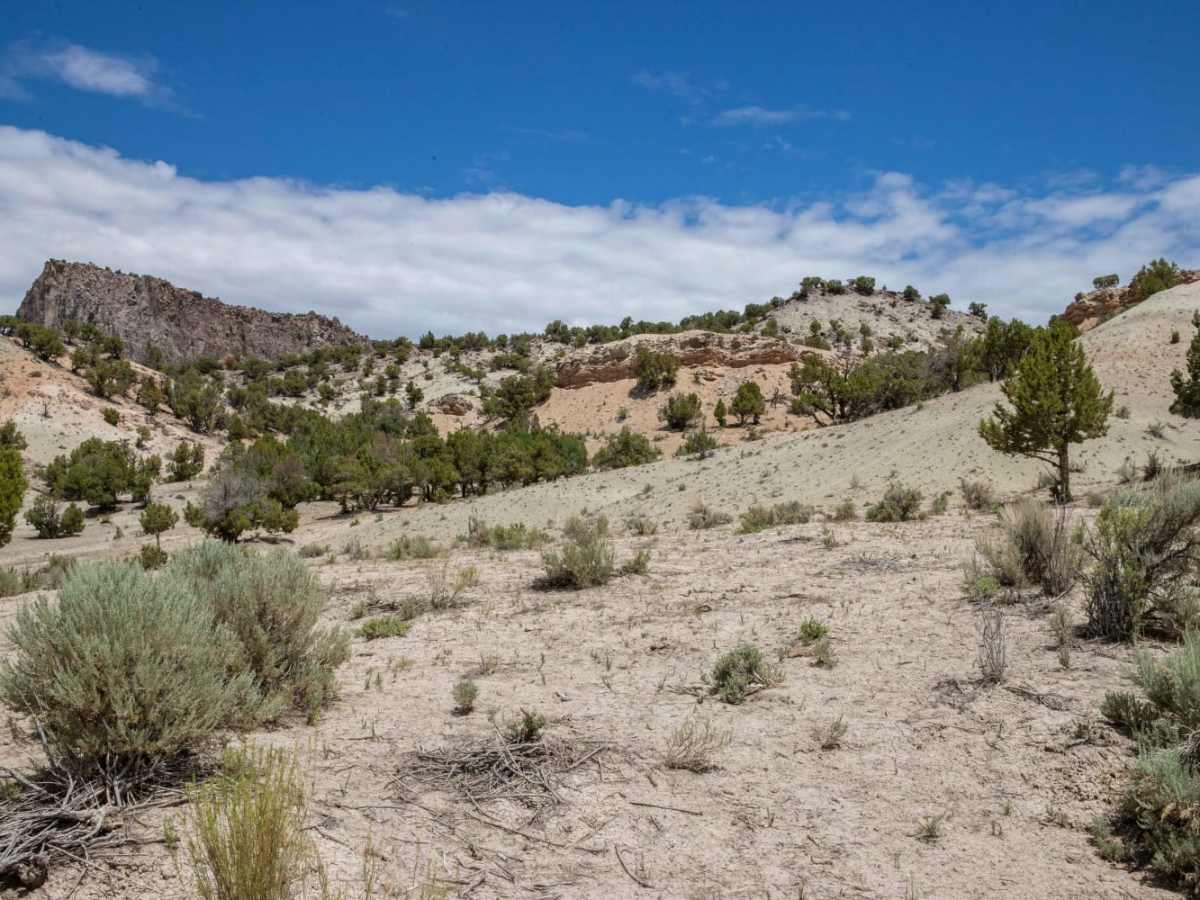 Scorups Meadow Road trail photo