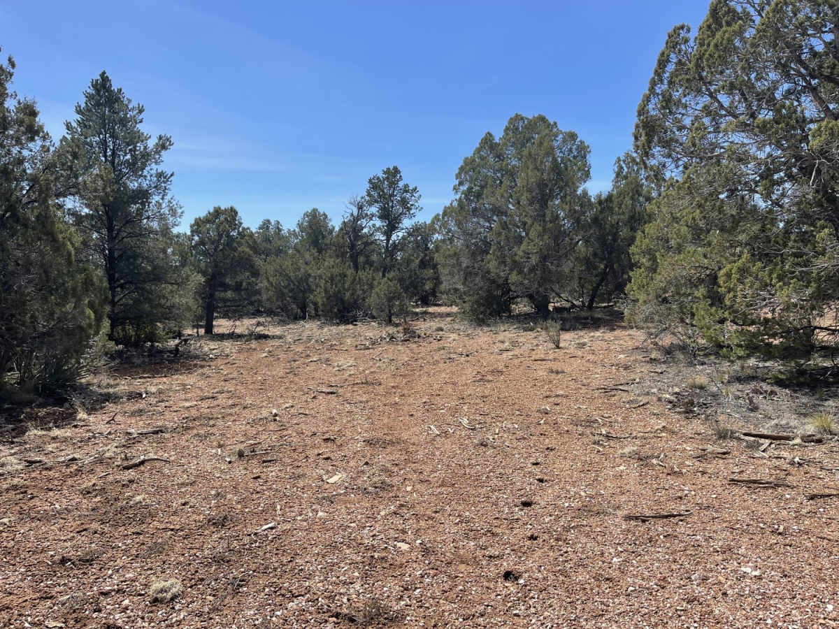 Juniper Meadows photo 5