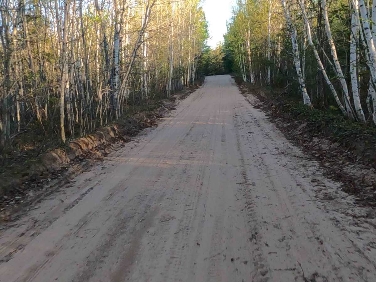 North Maple Block Road - FS 3972  photo 2