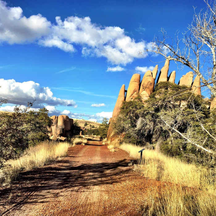 Near Peavine Trail