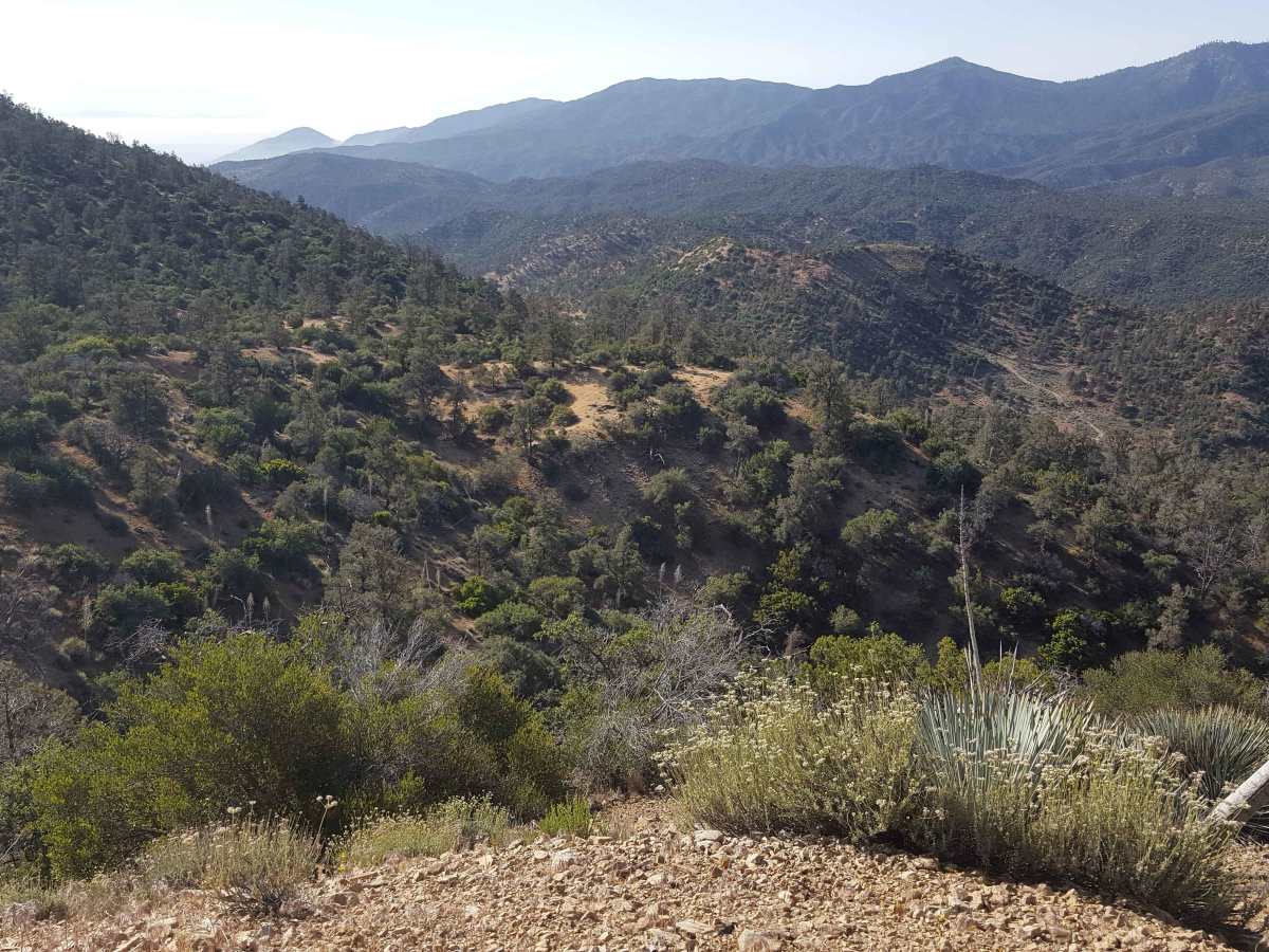 Gold Hill OHV - 19W17 photo 4