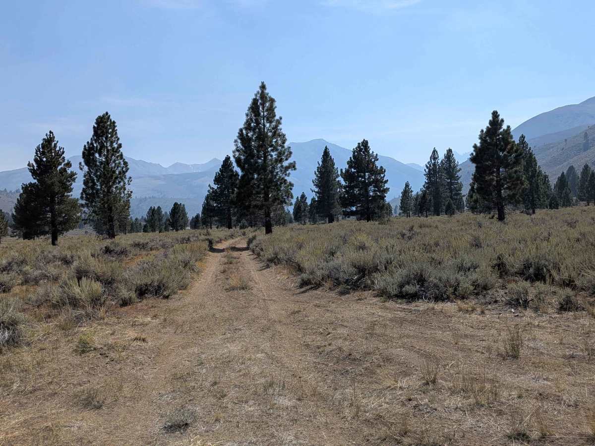 LaBrosse Creek Road - FS 32176 trail photo