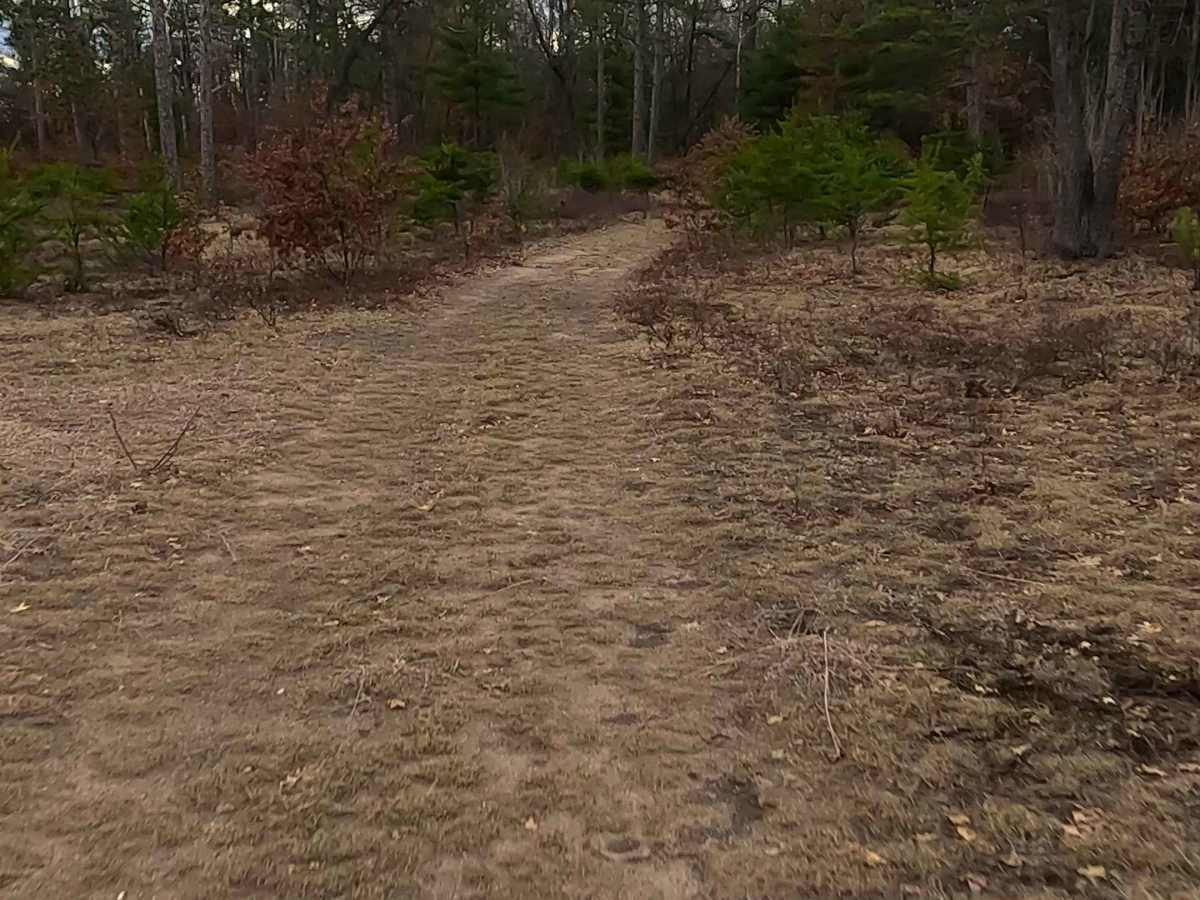Wilcox Drive - FS 4093 photo 5