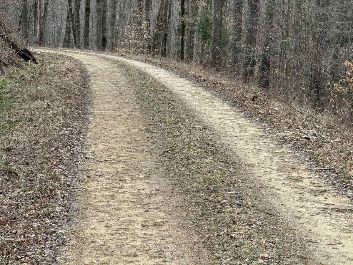 Windfall Run - FS 278.1 photo 5