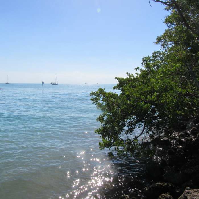 Great views of Stiltsville and Biscayne Bays await travellers of the Robin's Birding Trail. Near Robin's Birding Trail