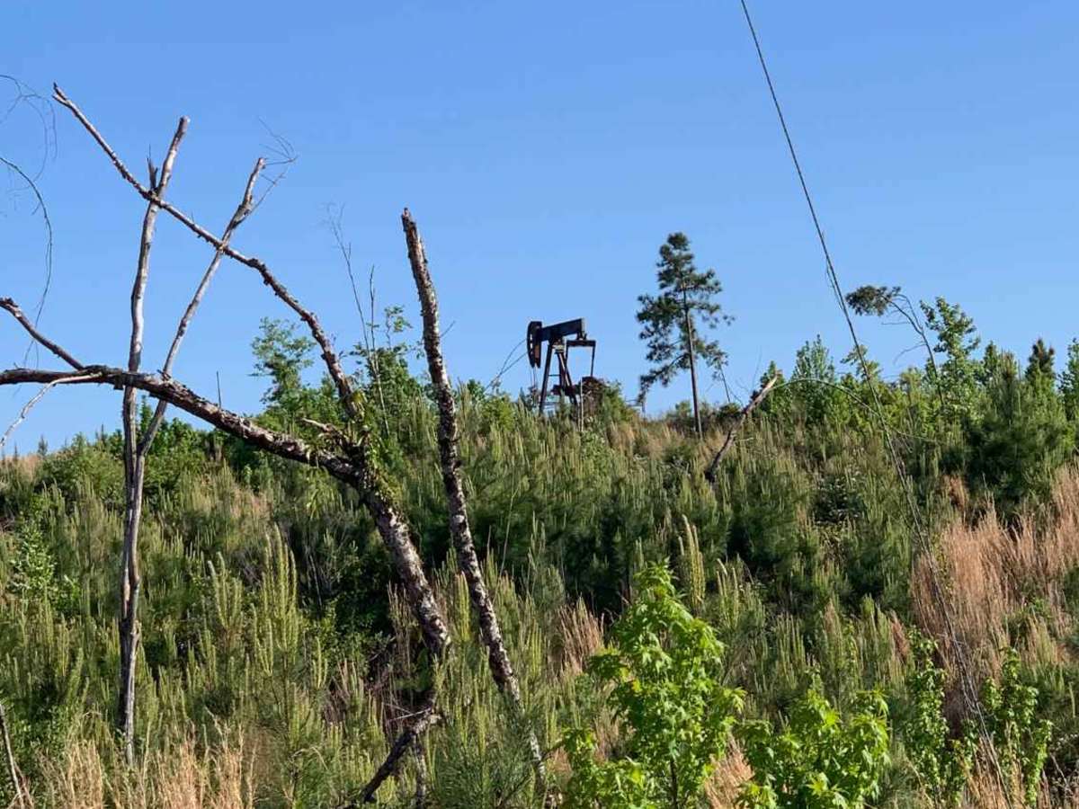 Camp Creek trail photo