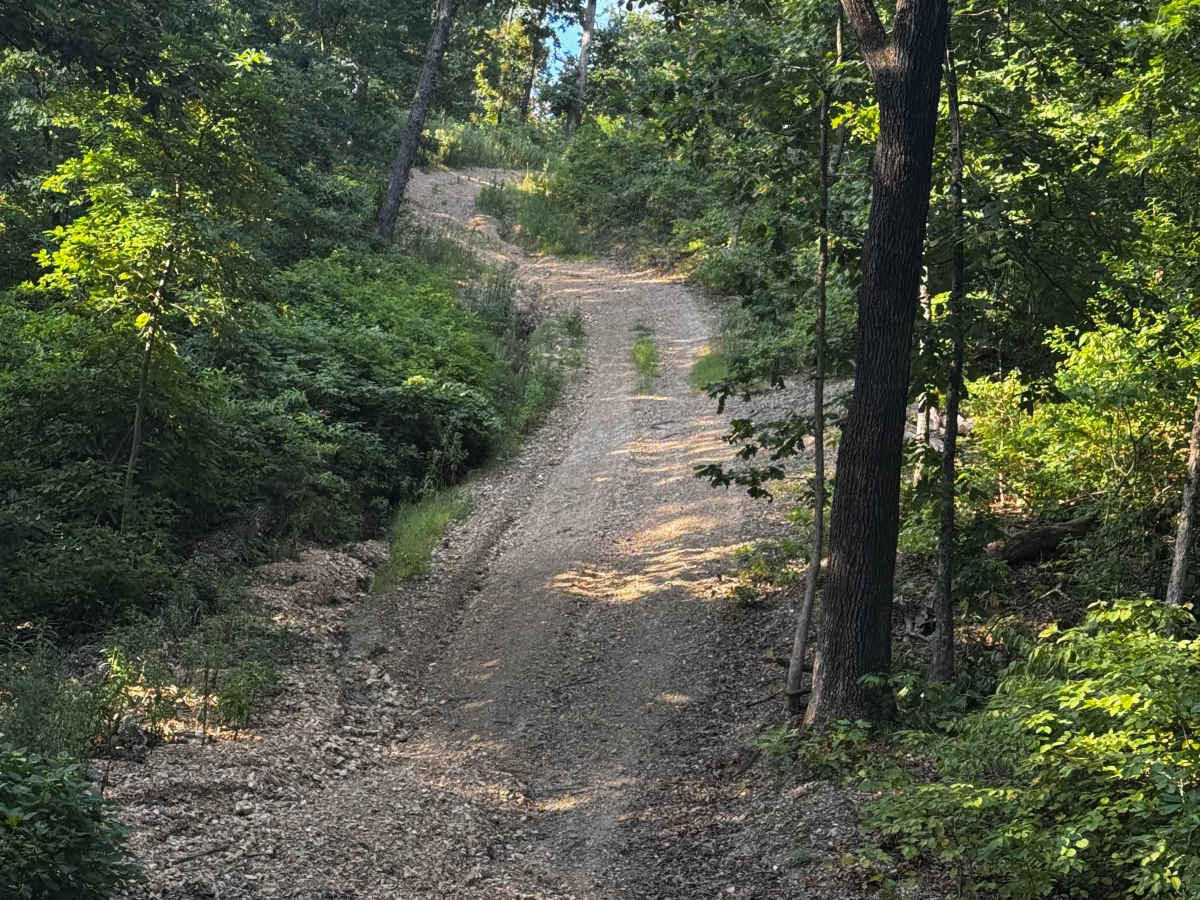 Main Track Cut Thru 2 photo 3