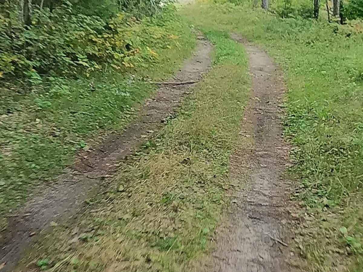 Old Stage Truck Road photo 6