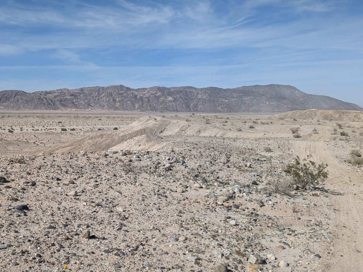 BLM 209 photo 6