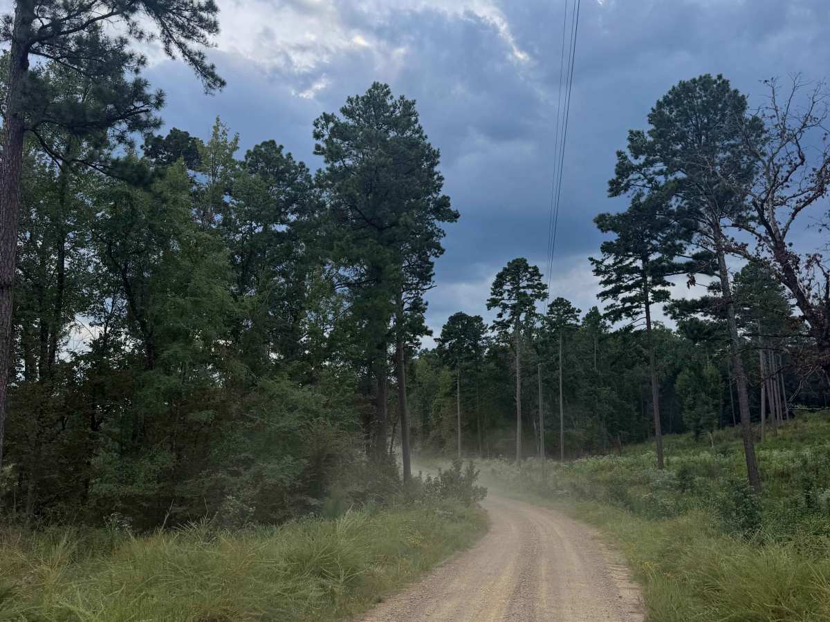 Boyette photo 6