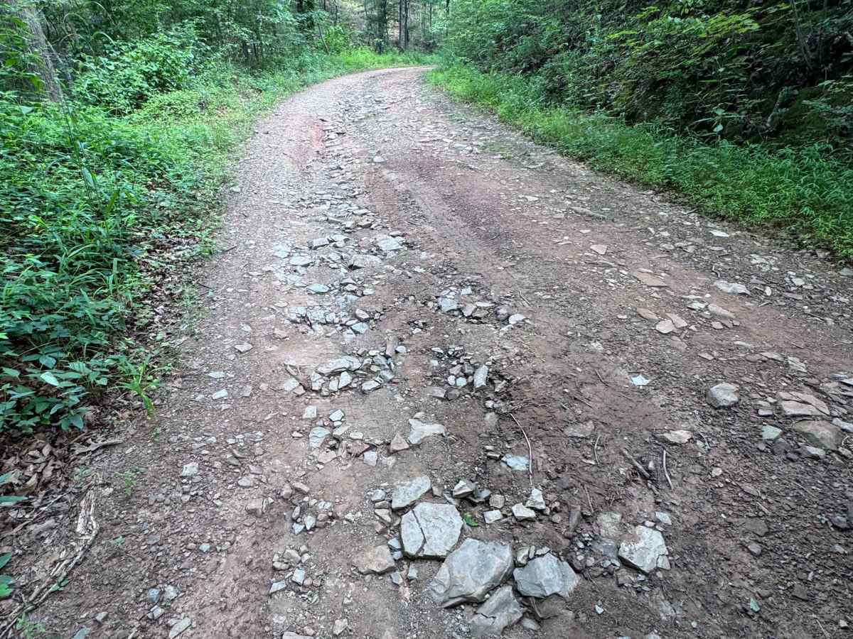 Outdoor Club Road photo 2